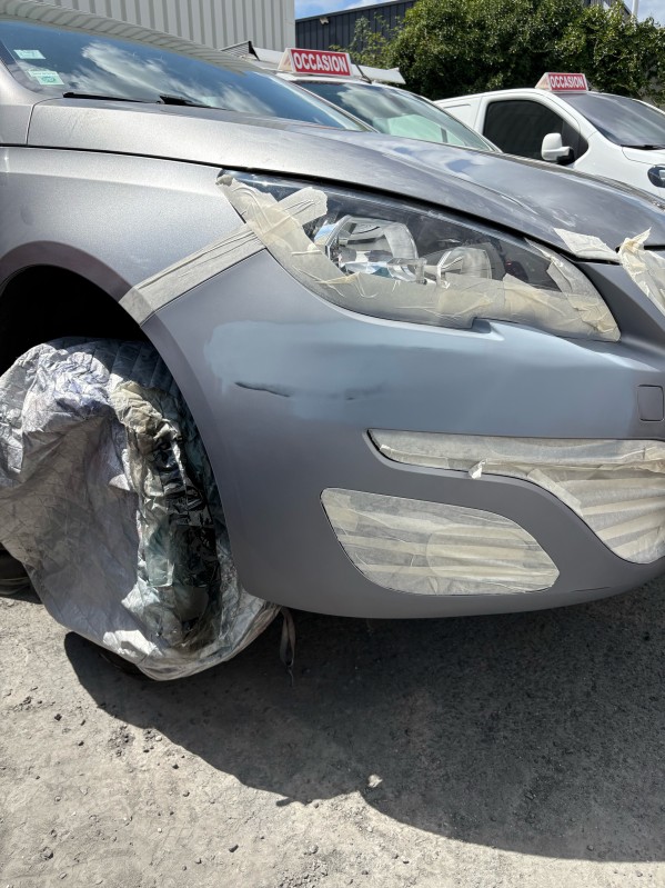 SUPPRESION RAYURE PEINTURE