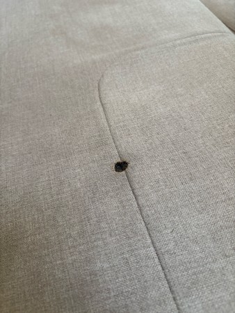 Nos prestations sur le secteur de Sainte-Eulalie proche Carbon-Blanc (33560) enGironde