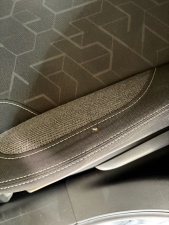 Nos prestations sur le secteur de Sainte-Eulalie proche Carbon-Blanc (33560) enGironde